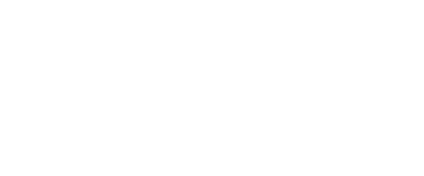 ヴァルテックスホールディングス株式会社